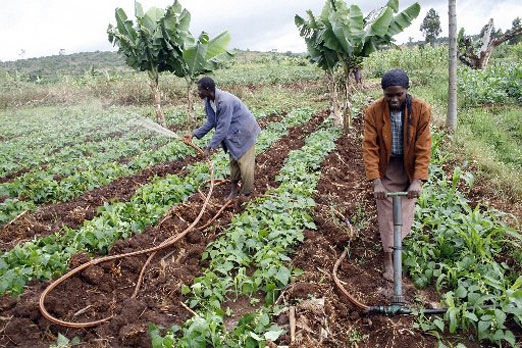 agriculture