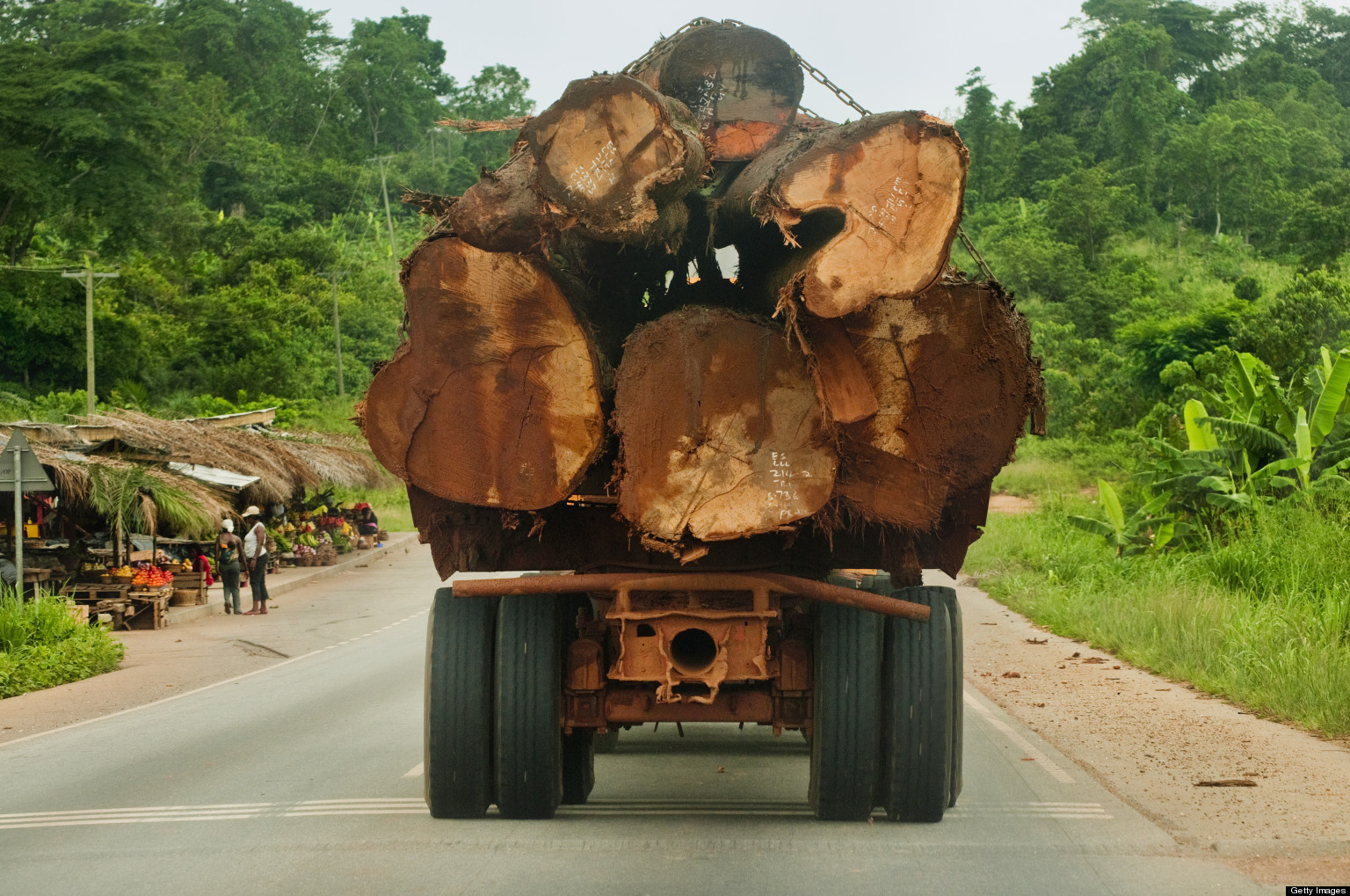 timber