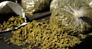 indian hemp