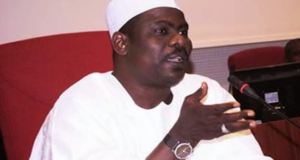 Senator Ali Ndume